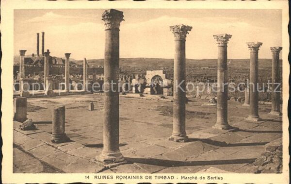 Timgad Ruines Romaines Marche Sertius