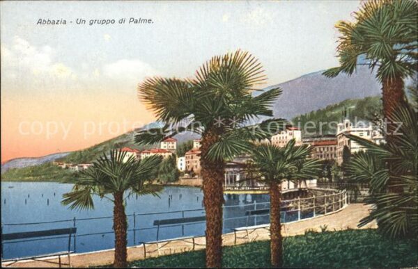 Opatija Abbazia Un gruppo Palme