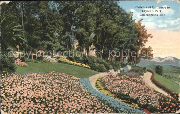 Los Angeles California Flowers Entrance Elysian Park