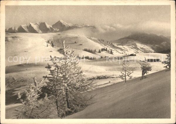 Lofer Alpe