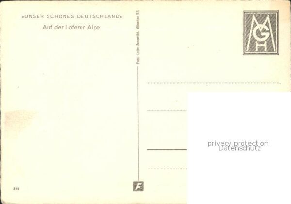 Lofer Alpe – Bild 2
