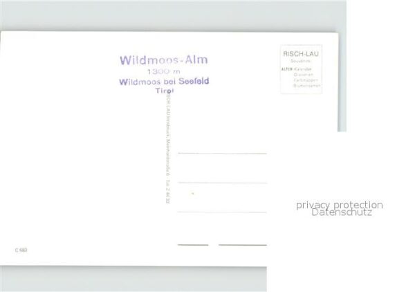 Wildmoos Wildmoosalm Kühe See – Bild 2