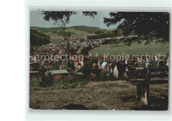 Furtwangen Panorama Blick vom Waldrand