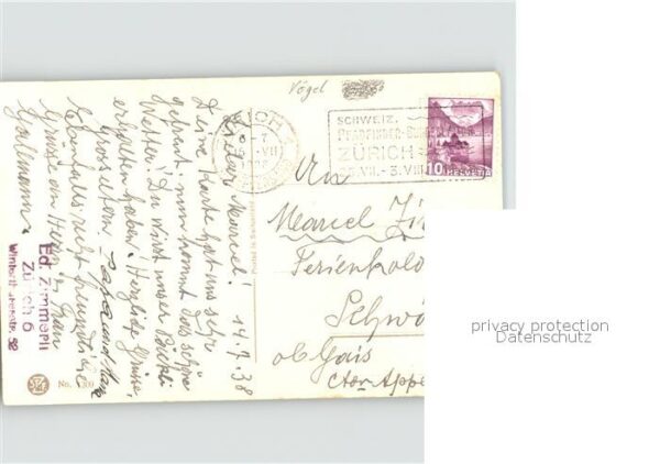 Voegel – Bild 2