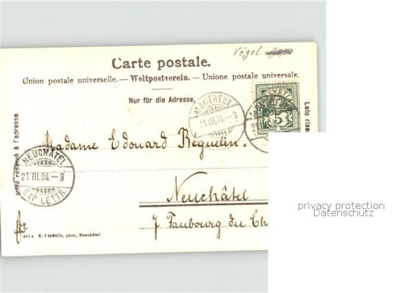 Moewen – Bild 2