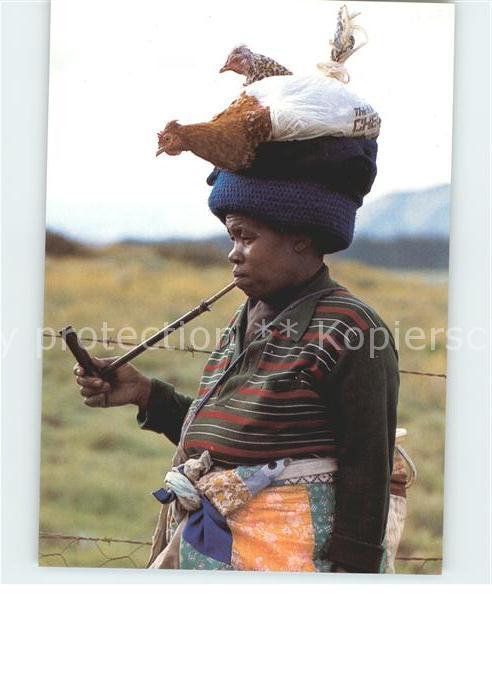Pfeife Typen Transkei Hühner Südafrika