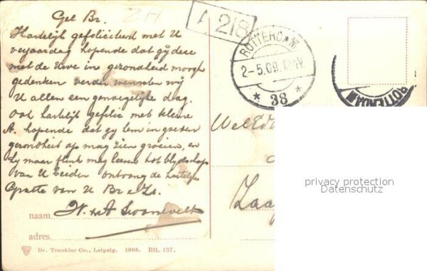 Rotterdam Oude Plantage Baumallee – Bild 2