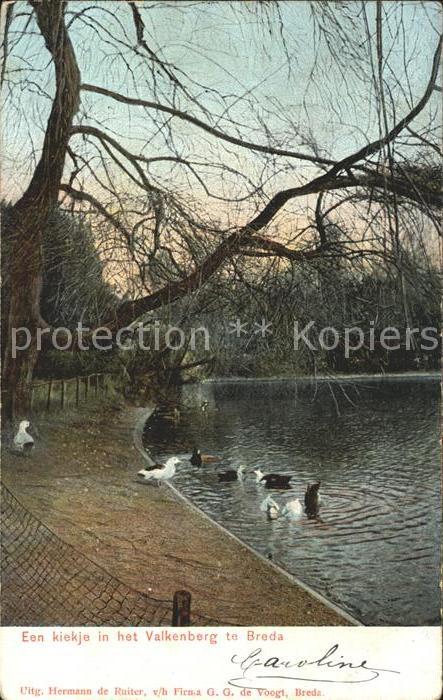Breda Noord-Brabant Valkenberg Enten