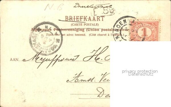 Breda Noord-Brabant Valkenberg Enten – Bild 2