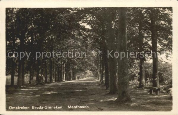 Ginneken Omstreken Breda Mastbosch