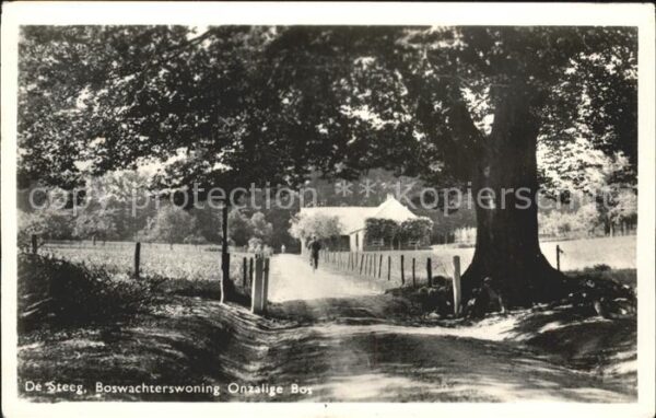 De Steeg Boswachterswoning Onzalige Bos