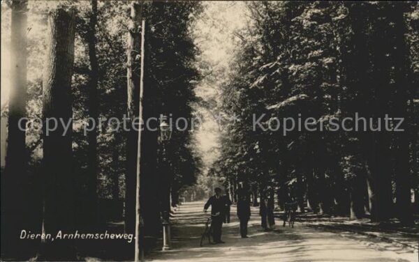 Dieren Arnhemscheweg
