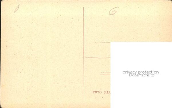 Dieren Yselveer – Bild 2