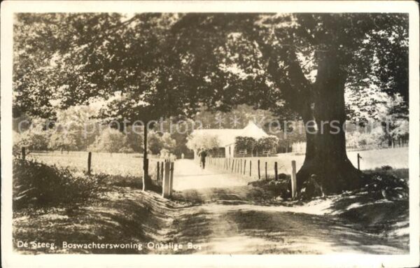 De Steeg Boswachterswoning Onzalige Bos