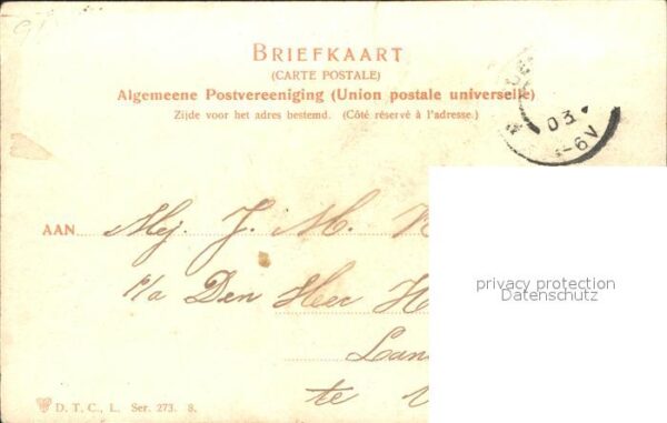 De Steeg Sanatorium Kühe – Bild 2