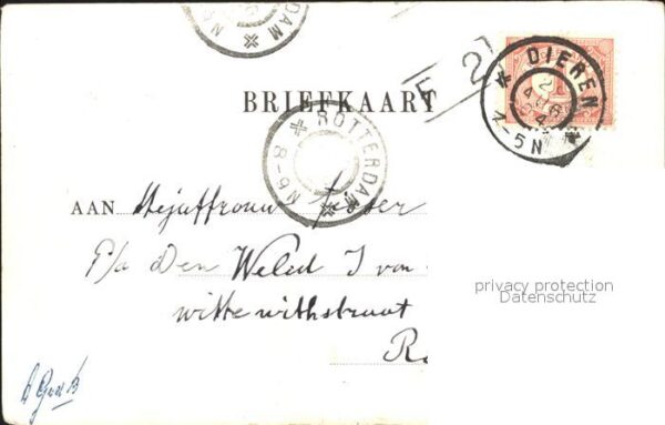 De Steeg Koepel van Viruly – Bild 2