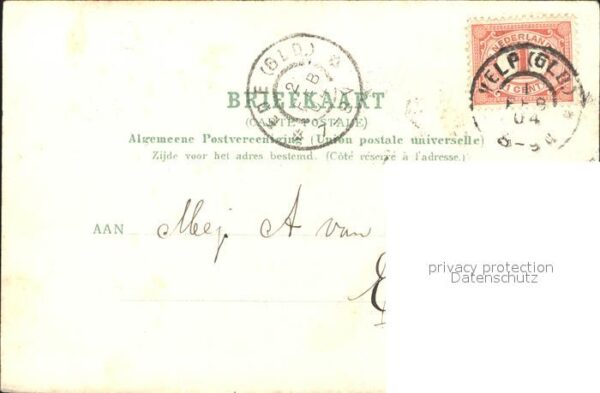 De Steeg Middachten Allees – Bild 2