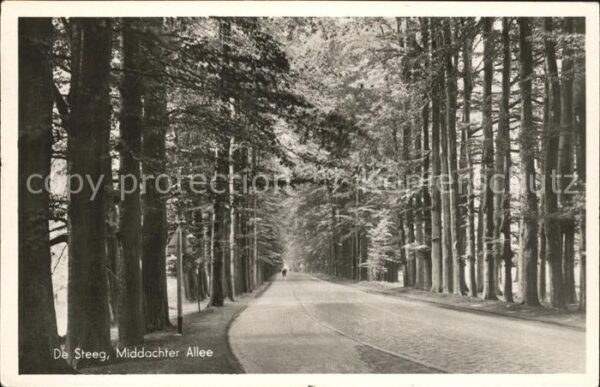 De Steeg Middachter Allee