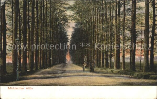 De Steeg Middachter Allee