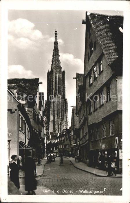 Ulm Donau Walfischgasse Münster