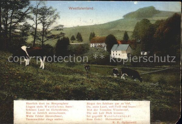 Westfalen Region Land und Leute Viehweide Westfalengruss