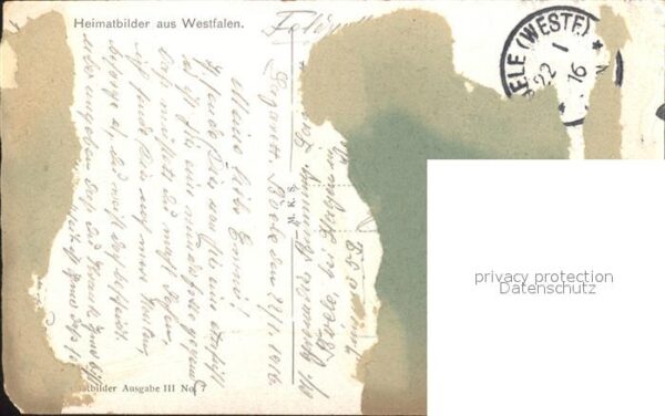 Westfalen Region Land und Leute Viehweide Westfalengruss – Bild 2