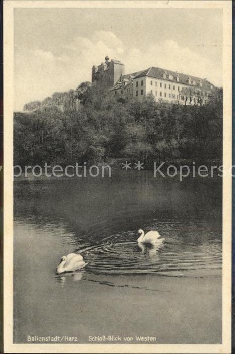 Ballenstedt Schloss Blick von Westen Schwan