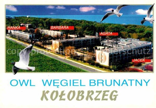 Kolobrzeg Polen OWL Wegiel Brunatny