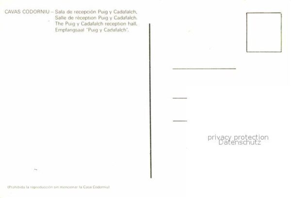 Cavas Codorniu Empfangssaal Puig y Cadafalch – Bild 2