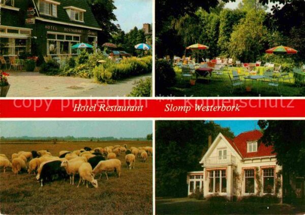 Westerbork Hotel Restaurant Slomp Garten Schafherd