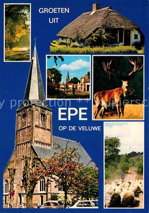 Epe Gelderland Reetgedecktes Haus Kirche Hirsch Schafh