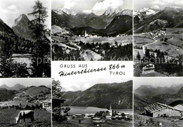 Hinterthiersee Hütte Kuh