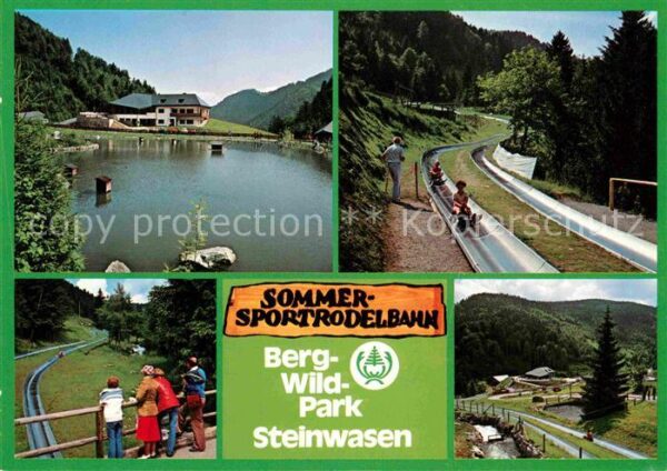 Todtnau Bergwildpark Steinwasen