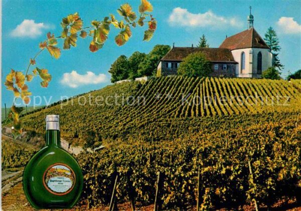 Volkach Vogelsburg