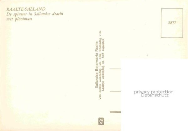 Salland Raalte De spinster in Sallandse dracht met plo – Bild 2