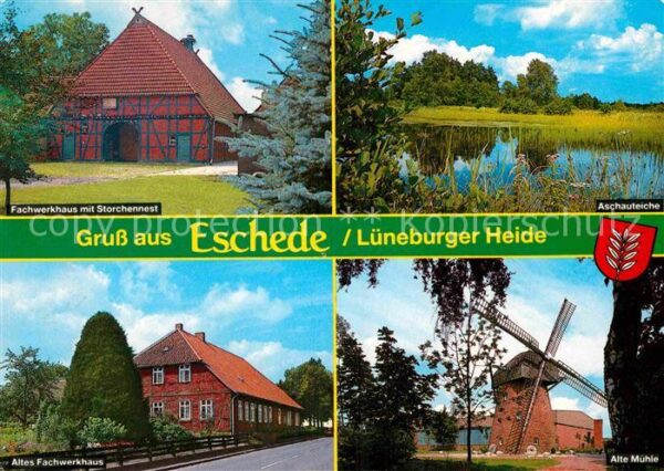 Eschede Fachwerkhaus Storchennest Aschauteiche