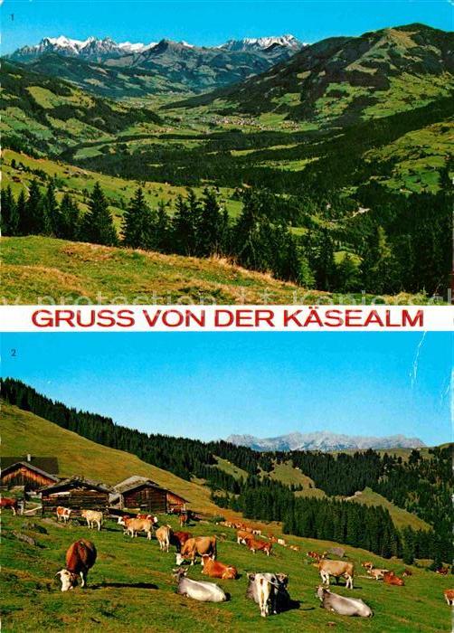 Wildschoenau Tirol Marbachjoch Panorama Käsealm