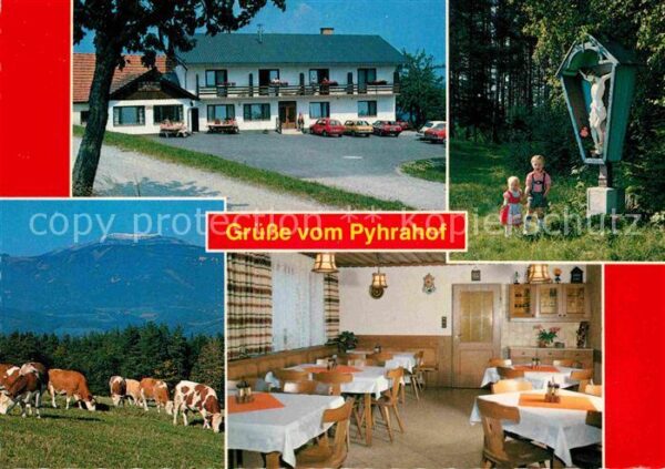 Pyhra Pyhrahof Gastraum Bildstock Viehweide