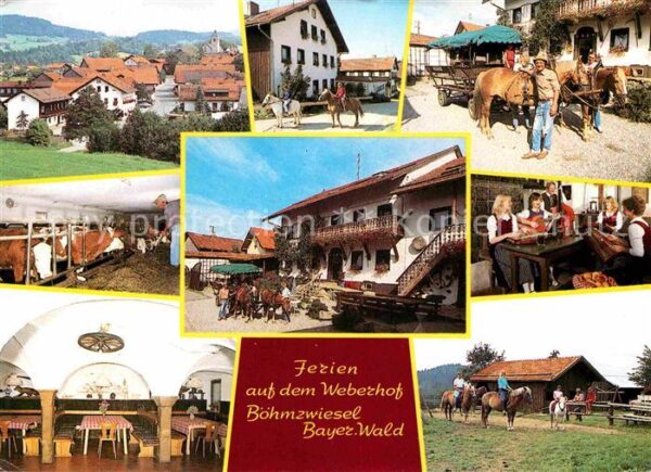 Boehmzwiesel Niederbayern Weberhof Ferien Pferdewagen Gastraum Re