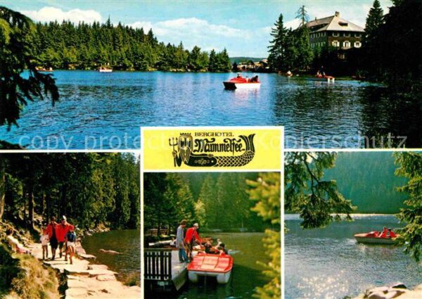Mummelsee Berghotel Mummelsee Details