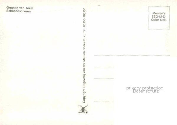 Texel Schapenscheren – Bild 2