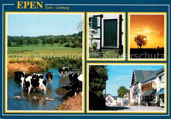 Epen Rinderherde Ortsmotive