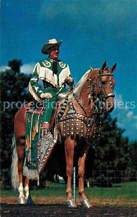 Pferde Art Miller Peavines Golden Major