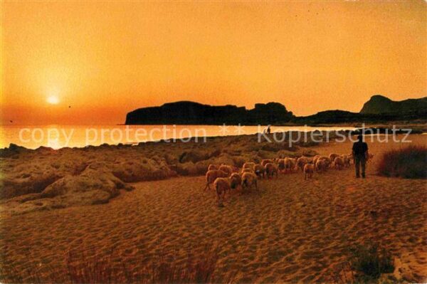 Schafe Hirte Strand Landleben Kreta Griechenla