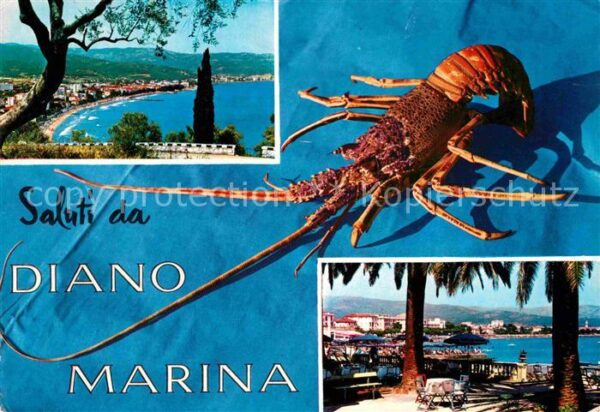 Meerestiere Garnele  Diano Marina