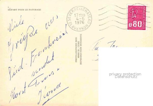 Schafe Hirte Frankreich – Bild 2
