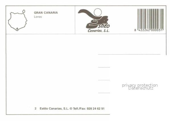 Papagei Kakadu Gran Canaria Loros Sparschwein F – Bild 2