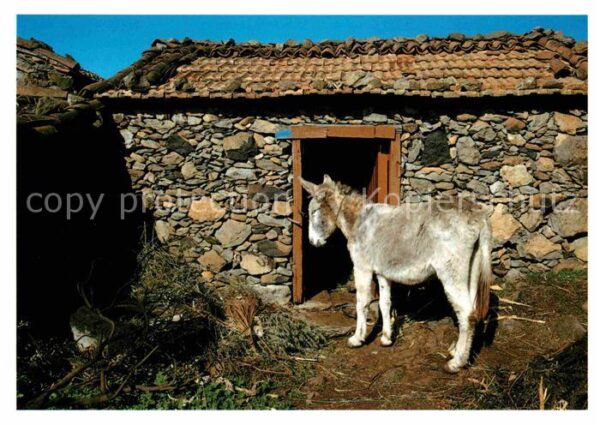 Esel Tiere Burro y casa tipica