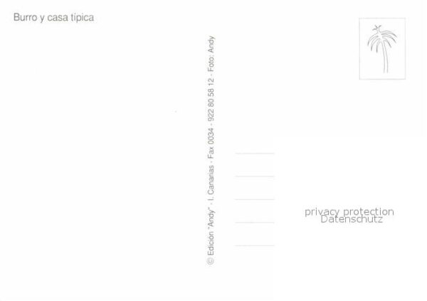 Esel Tiere Burro y casa tipica – Bild 2