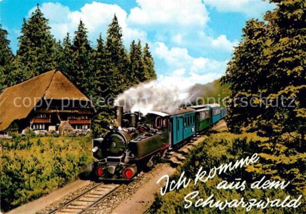 Lokomotive Schwarzwald Schwarzwaldhaus